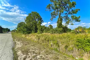 18 Roosevelt Ave, Lehigh Acres, FL 33936 - Photo 3