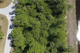 1146 Randolph St, Lehigh Acres, FL 33974 - Photo 7