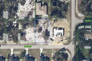 214 Grenada St NE, Lake Placid, FL 33852 - Photo 1