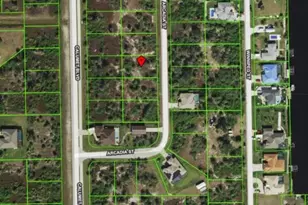 10253 Arcadia St, Port Charlotte, FL 33981 - Photo 1