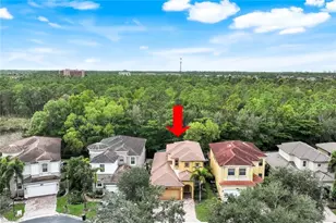 10253 S Silver Palm Dr, Estero, FL 33928 - Photo 29