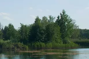 10530 Fountain Palm Cir, Bokeelia, FL 33922 - Photo 21