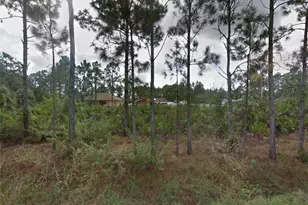 3217 21st St W, Lehigh Acres, FL 33971 - Photo 1