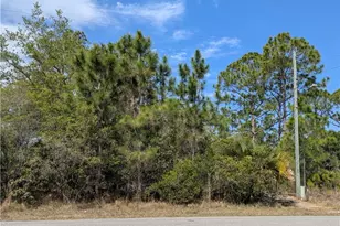 1855 Lindenwood Dr, Lehigh Acres, FL 33972 - Photo 3