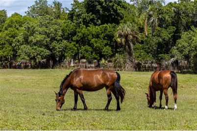 16100 N River Rd, Alva, FL 33920 - Photo 33