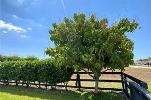 910 SW 33rd Terrace, Cape Coral, FL 33914 - Photo 19