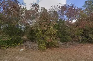 3605 East 3rd Street, Lehigh Acres, FL 33936 - Photo 3