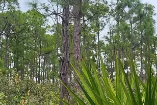 27278 Green Gulf Blvd, Punta Gorda, FL 33955 - Photo 1