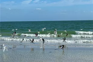 631 Nerita St, Sanibel, FL 33957 - Photo 31