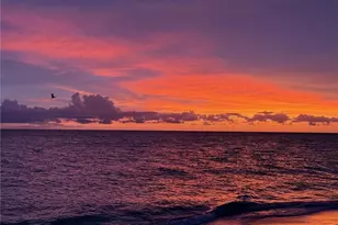 4470 Butterfly Shell Dr, Captiva, FL 33924 - Photo 19