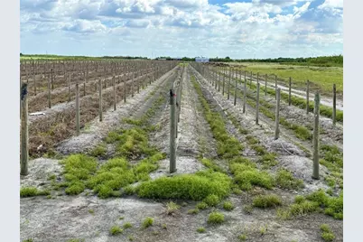 5567 5th Rd, Labelle, FL 33935 - Photo 1