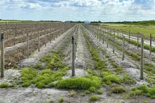 5567 5th Rd, Labelle, FL 33935 - Photo 1