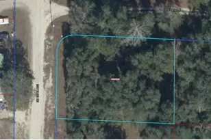 06721-010-00 NE 139th Ave, Williston, FL 32696 - Photo 1