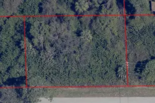 2603 E 7th St, Lehigh Acres, FL 33936 - Photo 3