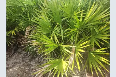 544 Wabasso Ave S, Lehigh Acres, FL 33974 - Photo 1