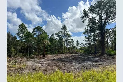 411 Lovers Ave, Lehigh Acres, FL 33974 - Photo 3