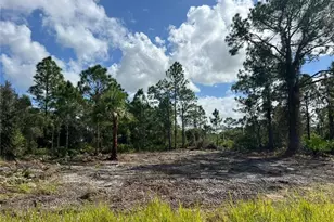 411 Lovers Ave, Lehigh Acres, FL 33974 - Photo 3