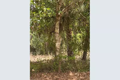 8261 Scarecrow Rd, North Fort Myers, FL 33917 - Photo 3