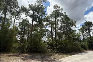 200 Gerald Ave N, Lehigh Acres, FL 33971 - Photo 1