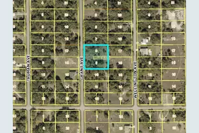 1908 Grant Ave, Lehigh Acres, FL 33972 - Photo 1