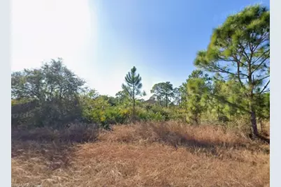 646 Stark Ave S, Lehigh Acres, FL 33974 - Photo 3