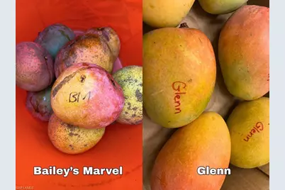 6640 Sunrise Ln, Bokeelia, FL 33922 - Photo 11