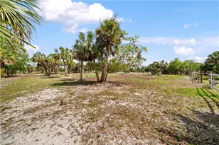 4498 8th St NE, Naples, FL 34120 - Photo 41