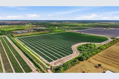 6150 Pringle Ln, Immokalee, FL 34142 - Photo 15