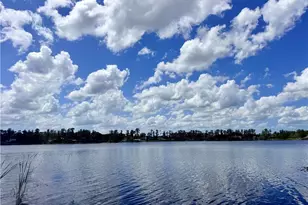 14232 Chisholm Ln, Odessa, FL 33556 - Photo 29