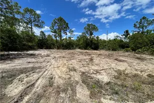 303 East 13th Street, Lehigh Acres, FL 33972 - Photo 1