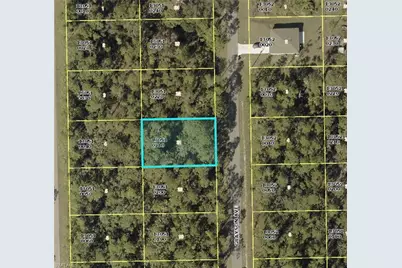 2117 Grayson Ave, Alva, FL 33920 - Photo 1