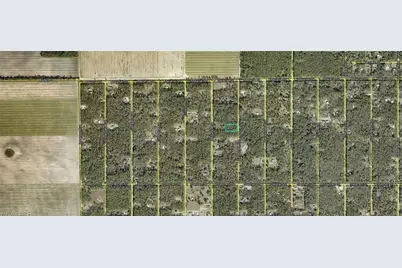 10065 Carpenter Ave, Hastings, FL 32145 - Photo 3