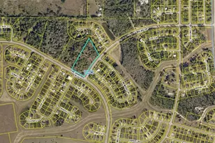 6600 NE Raintree Blvd, Labelle, FL 33935 - Photo 1