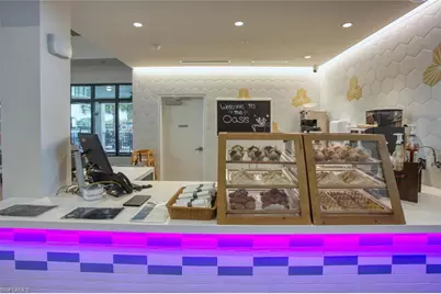 10453 Washingtonia Palm Way #3343, Fort Myers, FL 33966 - Photo 39