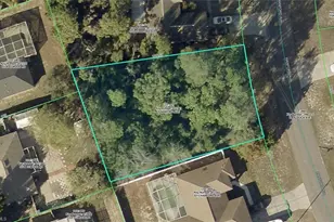 5319 Hanford Ave, Spring Hill, FL 34608 - Photo 1