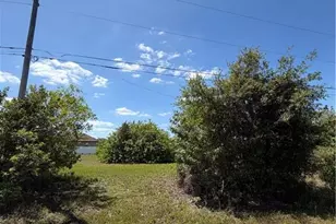 2926 NW 11th Terrace, Cape Coral, FL 33993 - Photo 1