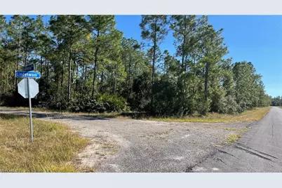 308 Rosanna Ave, Lehigh Acres, FL 33972 - Photo 5