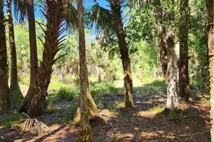 381 8th St NE, Naples, FL 34120 - Photo 11