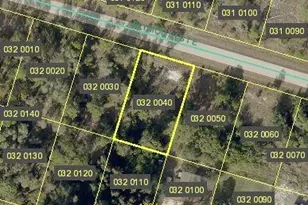 956 Plymouth St E, Lehigh Acres, FL 33974 - Photo 1