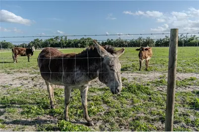 595 Norris Rd, Labelle, FL 33935 - Photo 21
