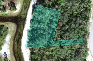 1240 Carribean Dr, Kissimmee, FL 34759 - Photo 1