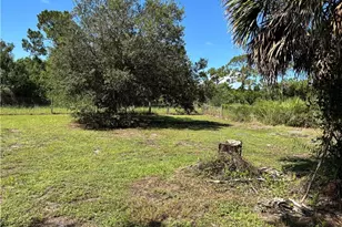 4213 Fort Keis Ave, Fort Denaud, FL 33935 - Photo 41