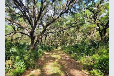 1040 Kirby Thompson Rd, Labelle, FL 33935 - Photo 3