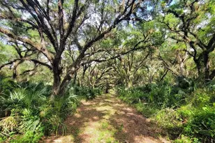 1040 Kirby Thompson Rd, Labelle, FL 33935 - Photo 3
