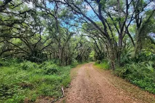 1040 Kirby Thompson Rd, Labelle, FL 33935 - Photo 1