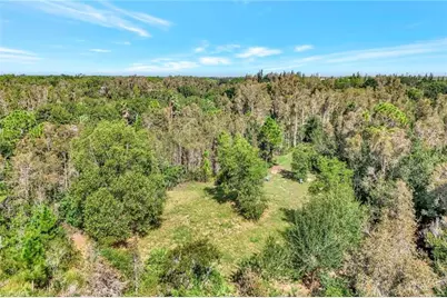 41601 Little Farm Rd, Punta Gorda, FL 33982 - Photo 3