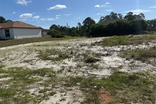 733 Anaconda Ave S, Lehigh Acres, FL 33974 - Photo 1