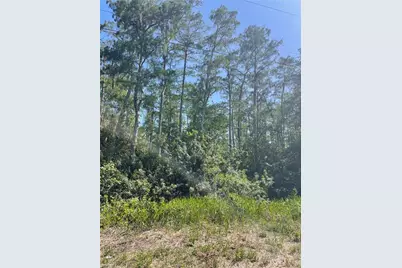 666 Knapp St, Lehigh Acres, FL 33974 - Photo 5