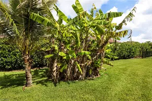 9302 Via San Giovani St, Fort Myers, FL 33905 - Photo 27