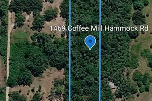1469 Coffee Mill Hammock Rd, Moore Haven, FL 33471 - Photo 37